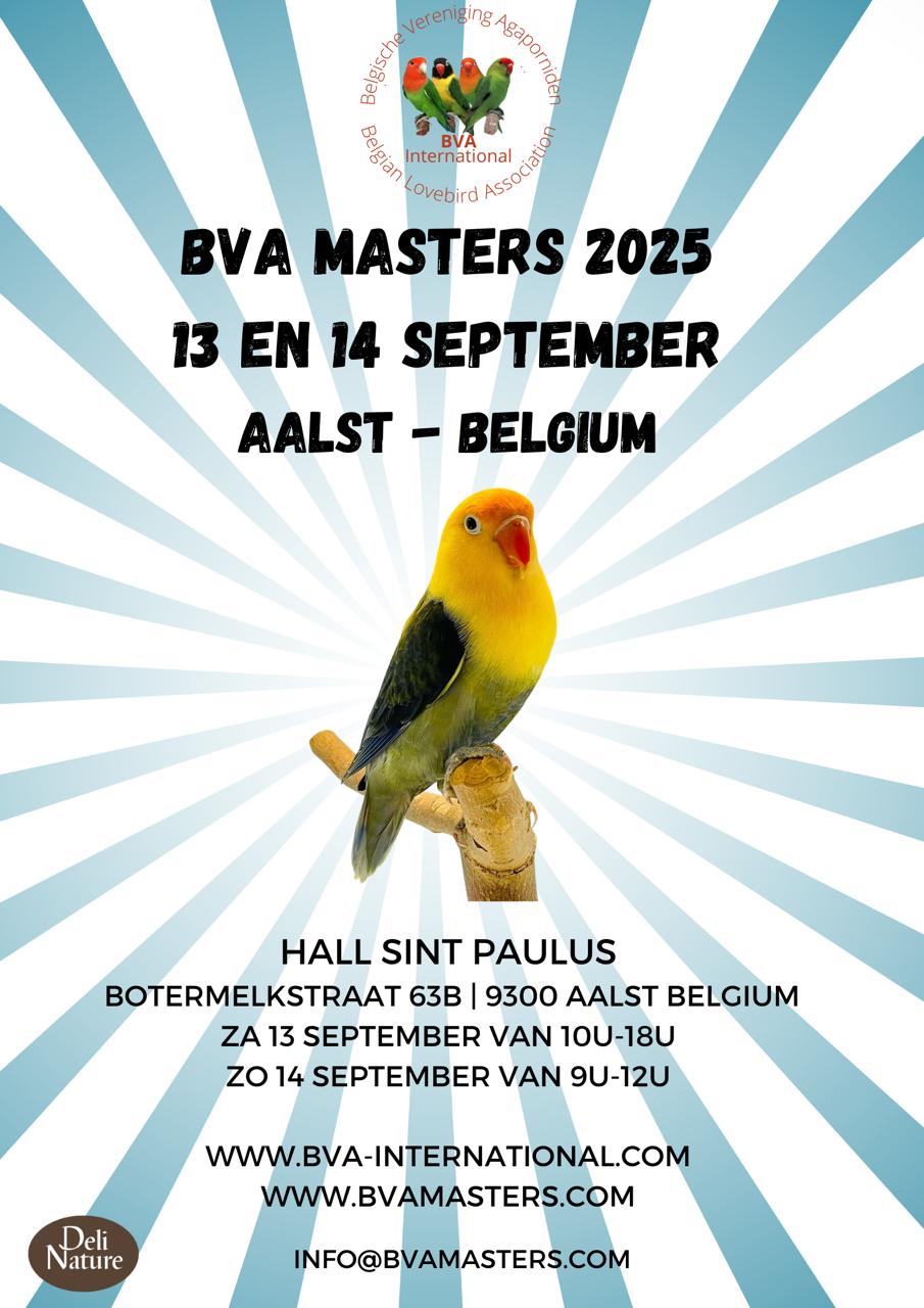 bva masters 2024